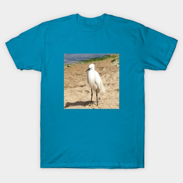 A Heron on the beach 1 T-Shirt by PrintedDreams